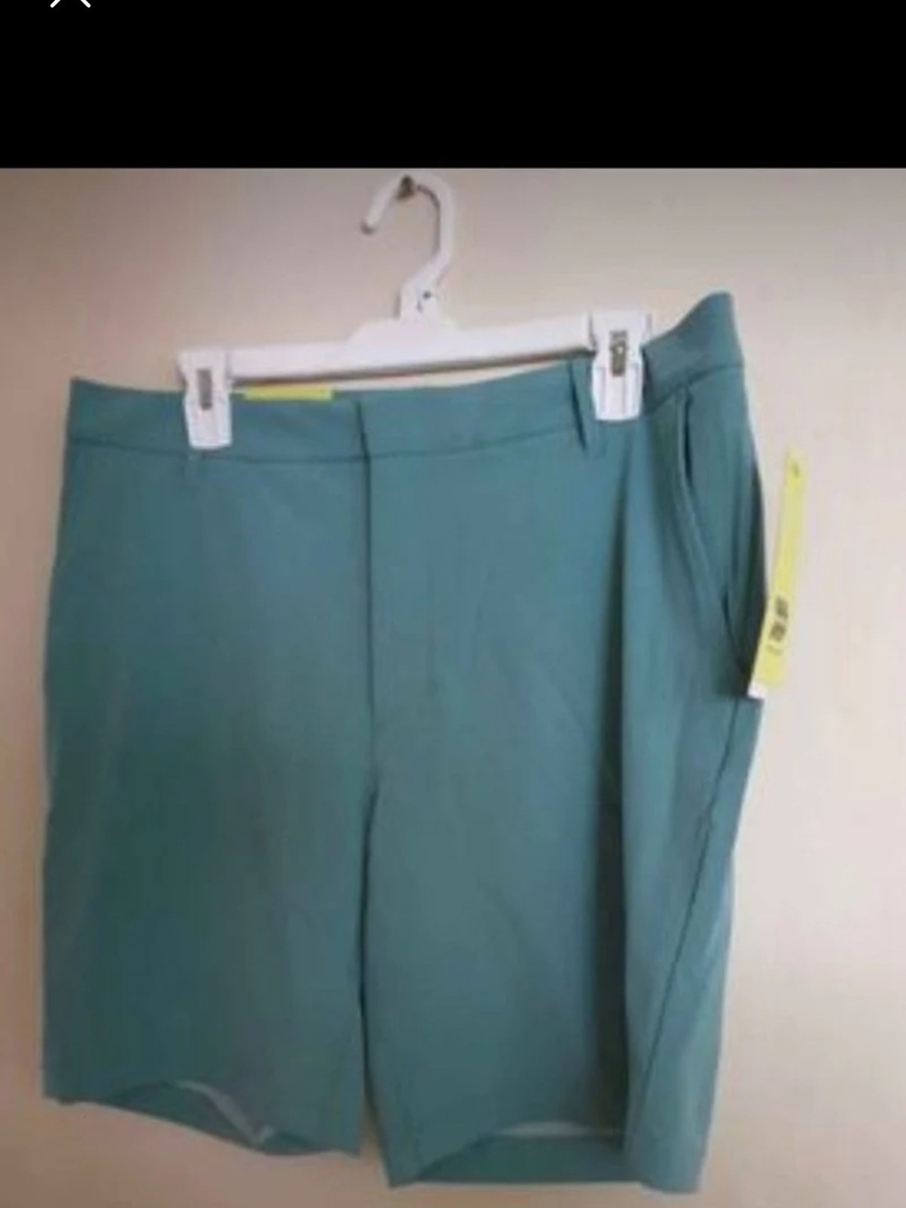 Teal Men Shorts ALL IN MOTION $15